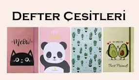 defter-sag