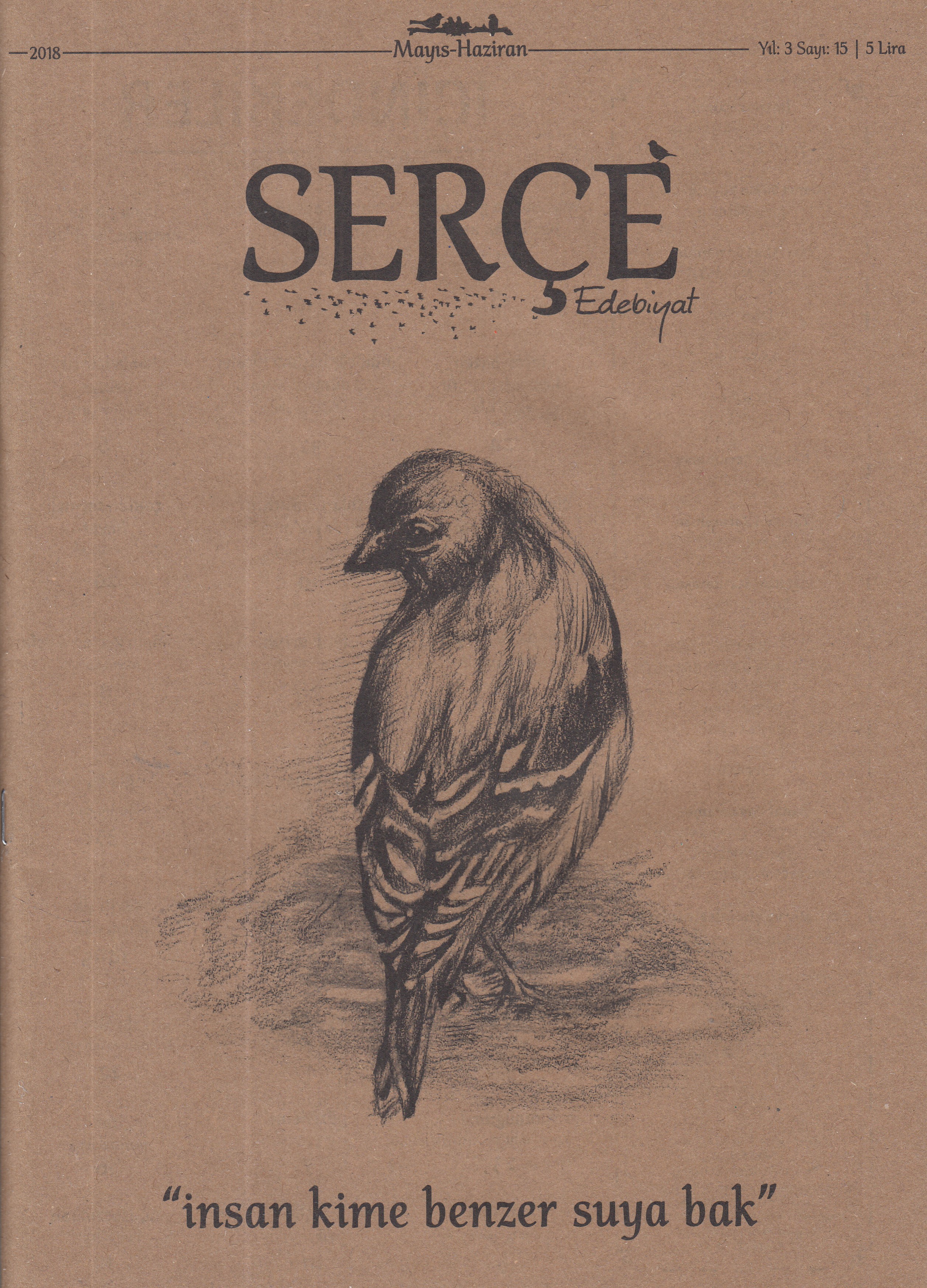 Serçe Edebiyat Dergisi: Mayıs-Haziran Sayı:15