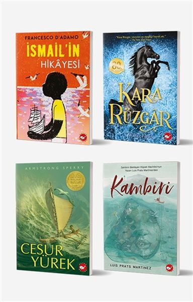 11+ Yaş İçin Okuma Seti (4 Kitap Takım)