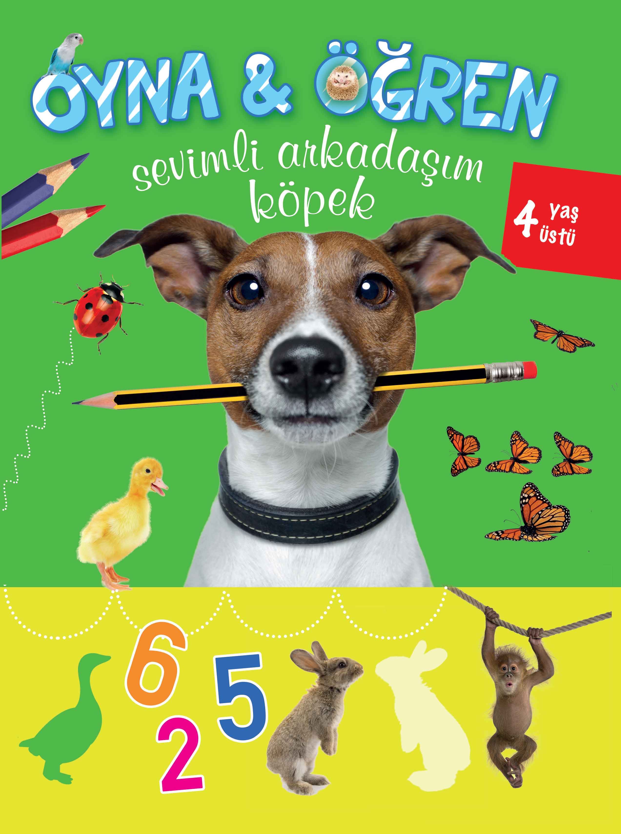 Sevimli Arkadaşım Köpek (+4 Yaş); Oyna - Öğren Serisi