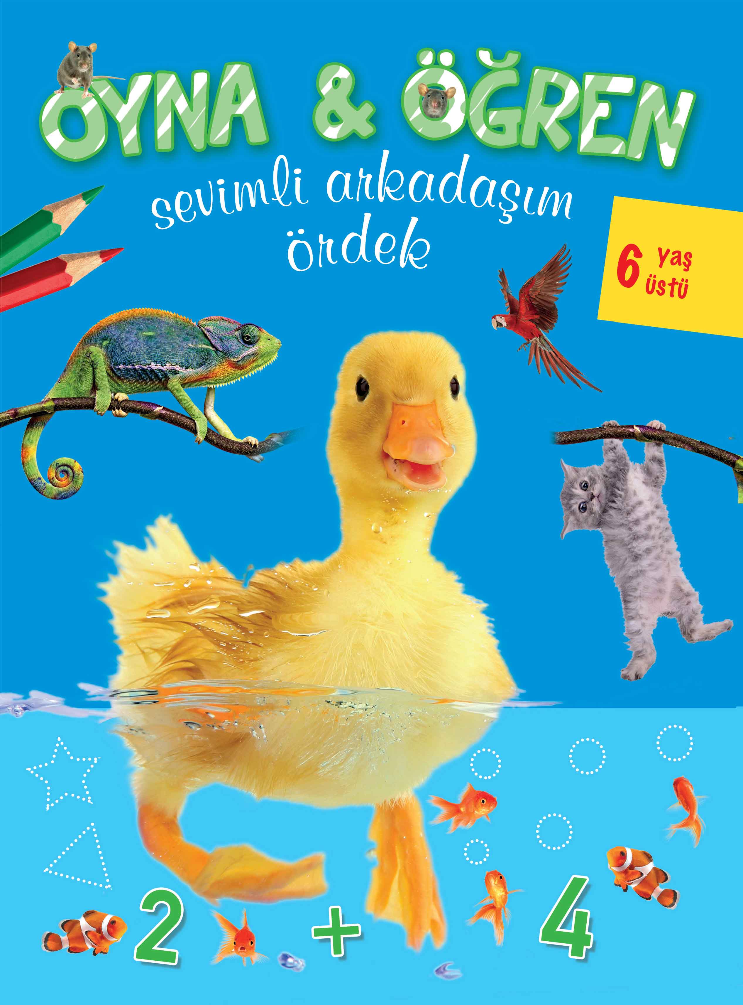 Sevimli Arkadaşım Ördek (6+ Yaş); Oyna - Öğren Serisi