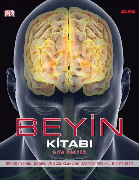 Beyin