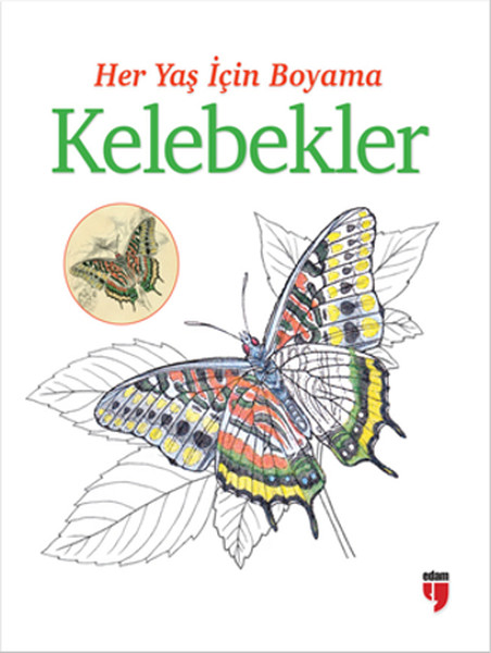 Her Yaş İçin Boyama - Kelebekler