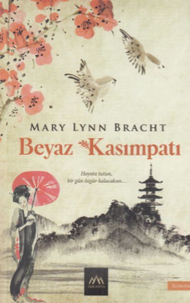Beyaz Kasımpatı
