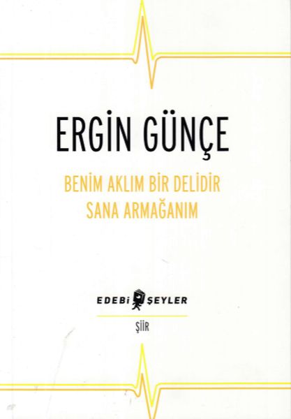 Benim Aklım Bir Delidir Sana Armağanım