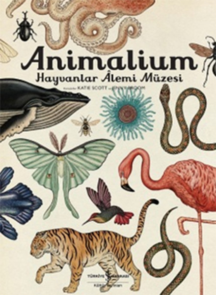 Animalium Hayvanlar Alemi Müzesi