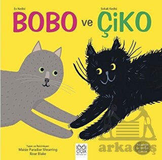 Ev Kedisi Bobo ve Sokak Kedisi Çiko- Arkadaşlık ve Dostluk Üzerine