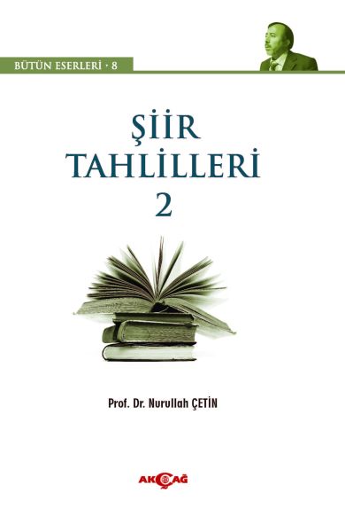 Şiir Tahlilleri 2