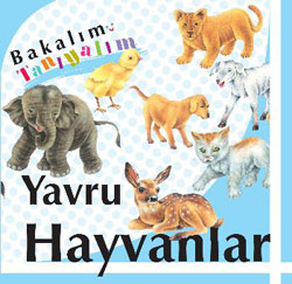 Bakalım Tanıyalım: Yavru Hayvanlar (Ciltli)