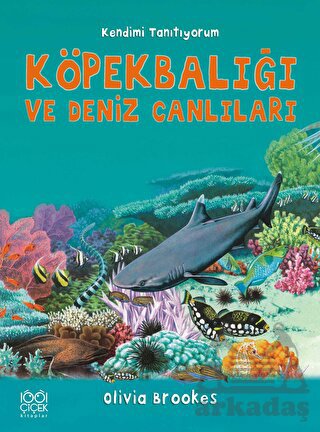 Köpekbalığı ve Deniz Canlıları - Kendimi Tanıtıyorum