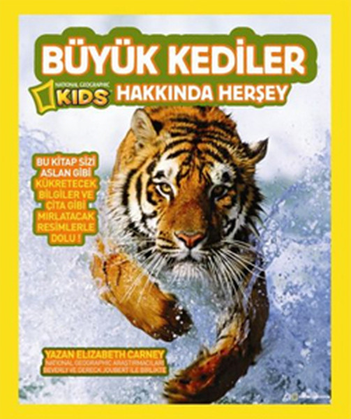 Büyük Kediler Hakkında Her Şey