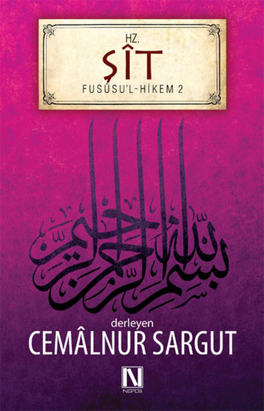 Hz. Şit; Fususu'l - Hikem Çalışmaları 2