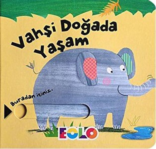 Eolo cDoğada Yaşam