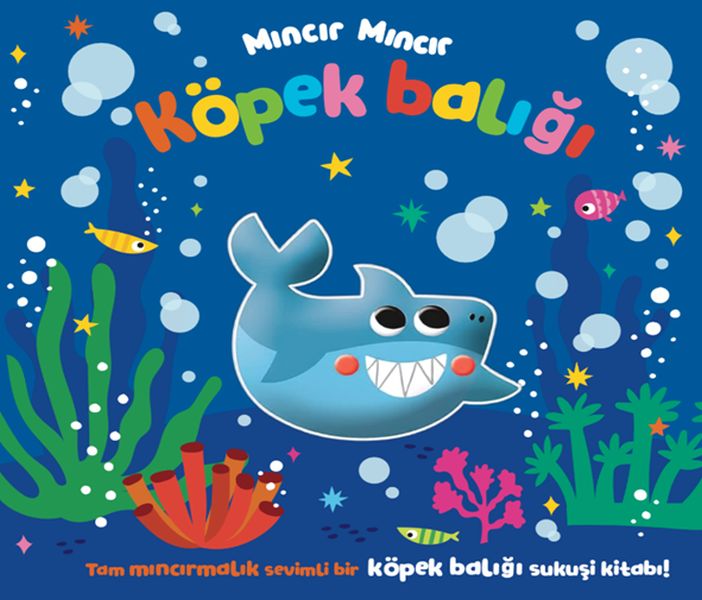 Mıncır Mıncır Köpek Balığı