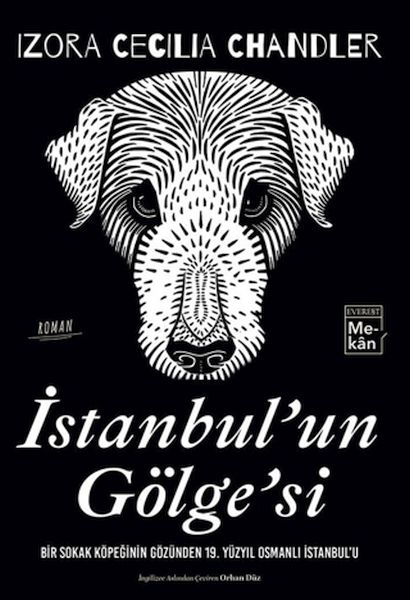 İstanbul'un Gölgesi