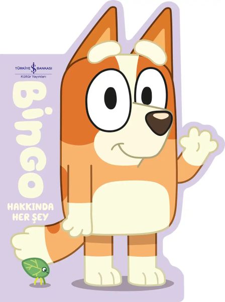 Bingo Hakkında Her Şey