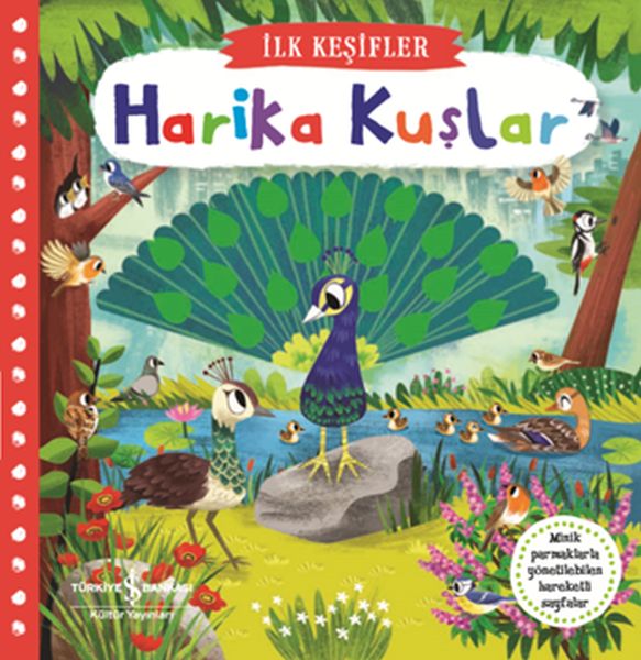 Harika Kuşlar - İlk Keşifler