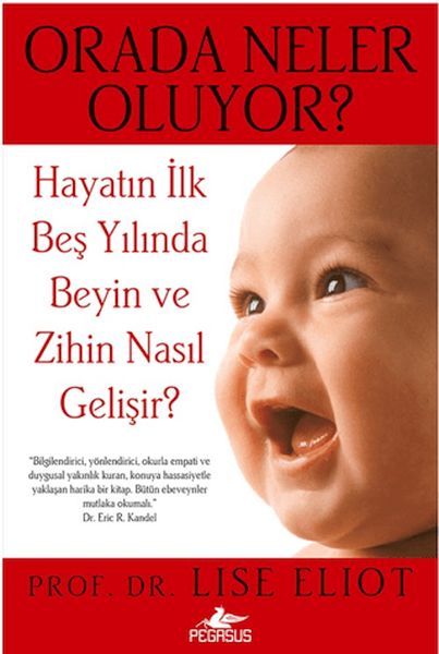Orada Neler Oluyor