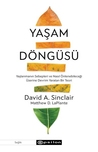Yaşam Döngüsü