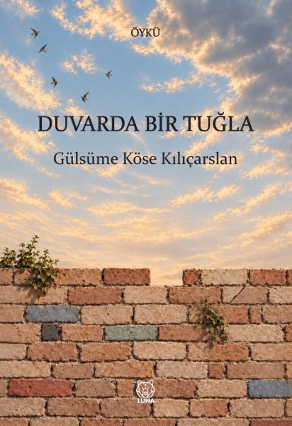 Duvarda Bir Tuğla