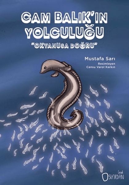 Cam Balık'ın Yolculuğu