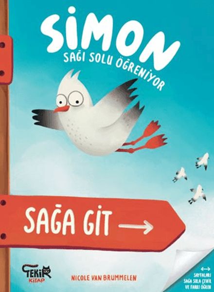 Simon Sağı Solu Öğreniyor