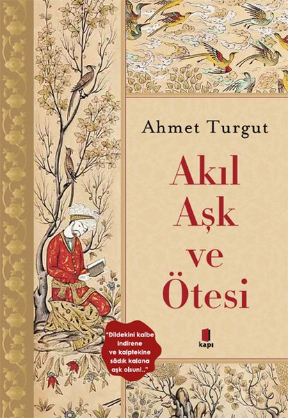 Akıl ve Aşk Ötesi