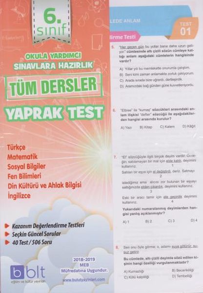 Bulut Eğitim 6. Sınıf Tüm Dersler Yaprak Test