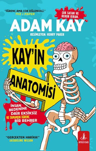 Kay’in Anatomisi