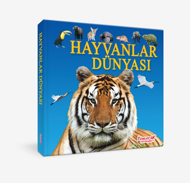 Hayvanlar Dünyası