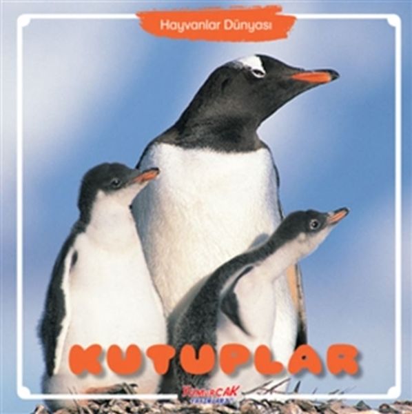 Hayvanlar Dünyası Kutuplar