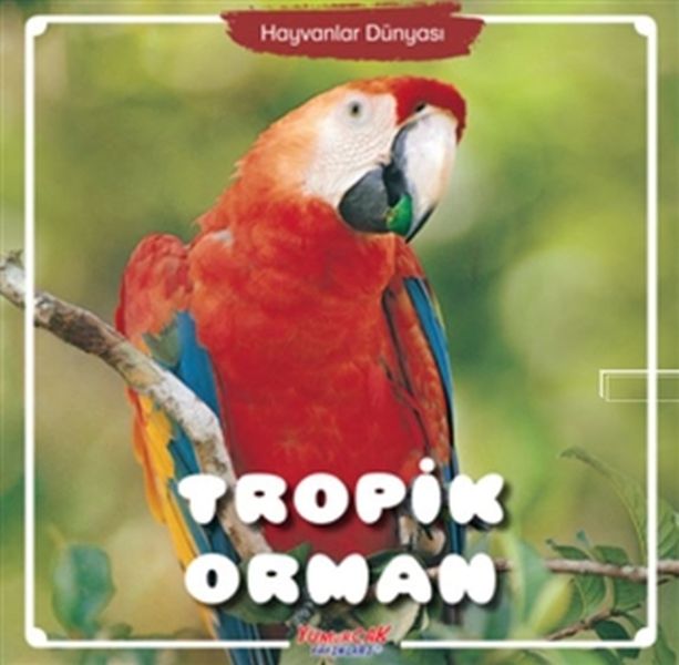 Hayvanlar Dünyası Tropik Orman