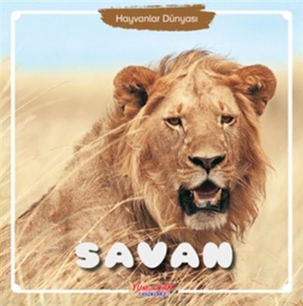 Hayvanlar Dünyası Savan
