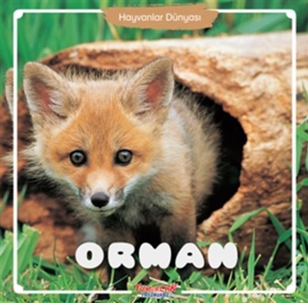 Hayvanlar Dünyası Orman