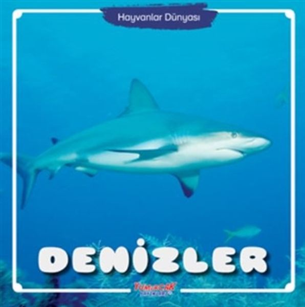 Hayvanlar Dünyası Denizler
