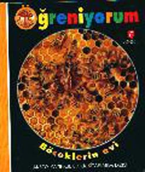 Böceklerin Evi - Öğreniyorum