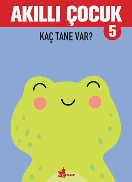 Akıllı Çocuk 5 – Kaç Tane Var?