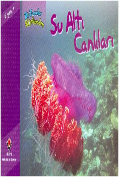 Bir Zamanlar Korkardım - Su Altı Canlıları