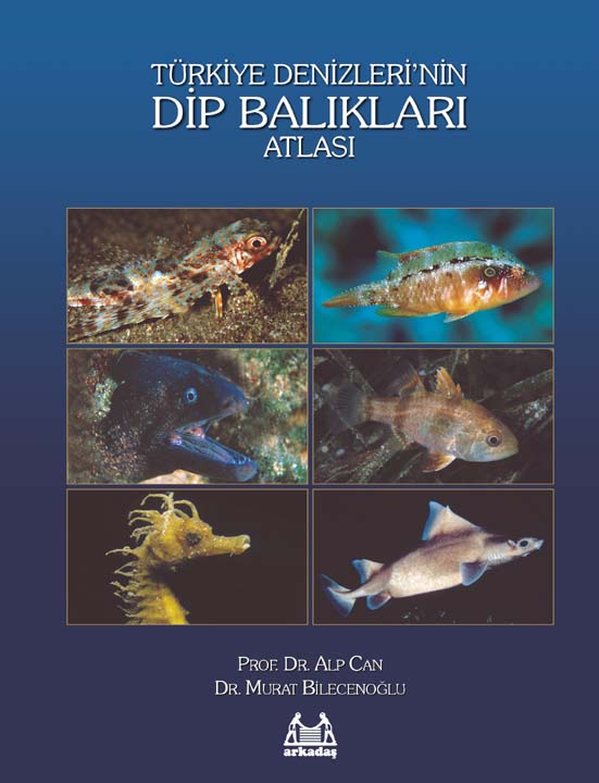 Türkiye Denizlerin Dip Balıkları Atlası
