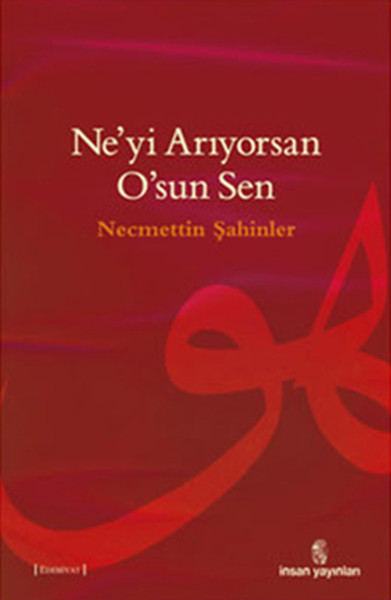 Ne'yi Arıyorsan O'sun Sen