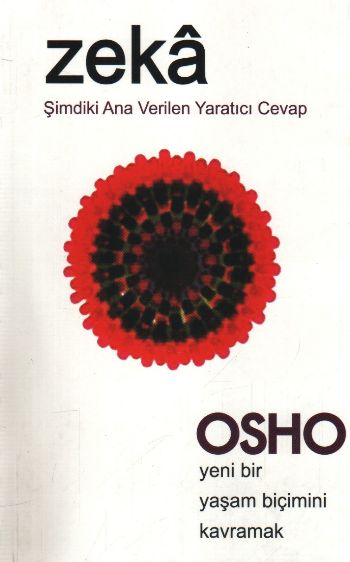 Zeka - Şimdiki Ana Verilen Yaratıcı Cevap