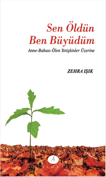 Sen Öldün Ben Büydüm  Anne-Babası Ölen Yetişkinler Üzerine