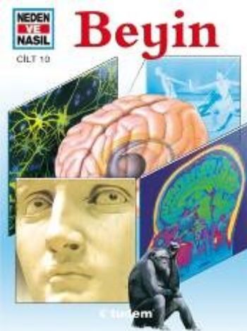 Beyin / Neden ve Nasıl-10